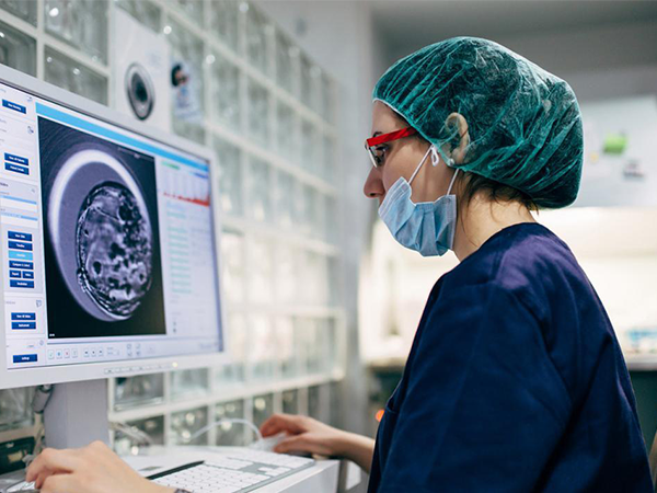 2022年美国三代试管自助攻略：成功率和费用一清二楚