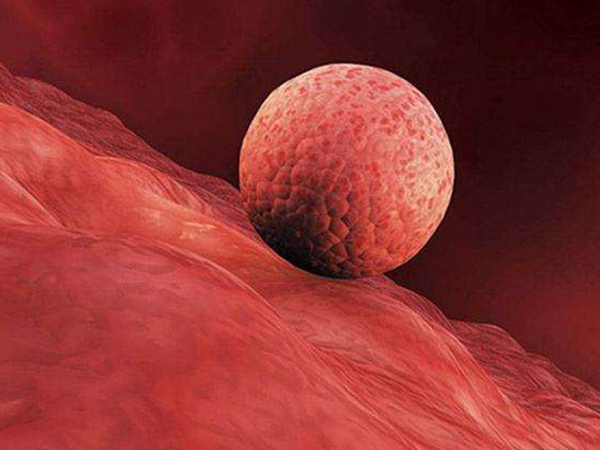 供卵vs自卵试管成功率，哪个更高读懂二者区别就知道