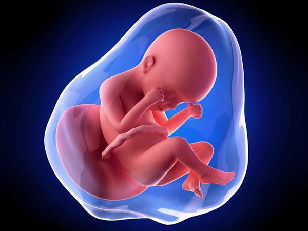 移植优质鲜胚成功的7个征兆，中的越多越有可能怀孕！