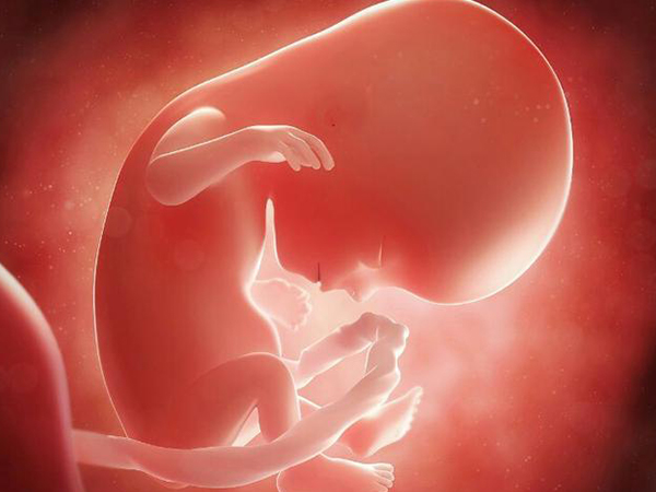 冻胚移植成功最明显的感觉分享：五大症状暗示着床成功