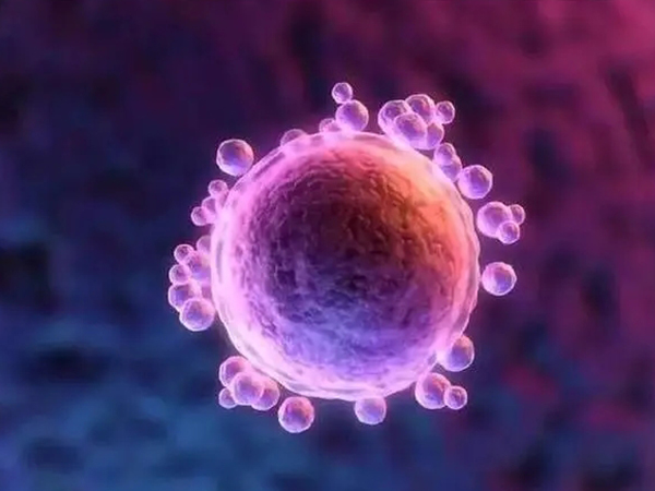 42岁高龄借卵试管成功率真相：真实数据没想象那么高