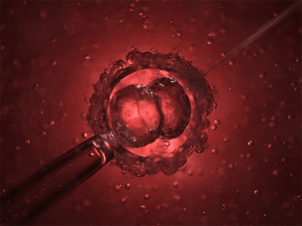 解读试管婴儿一直不着床的原因：胚胎质量差是主要因素