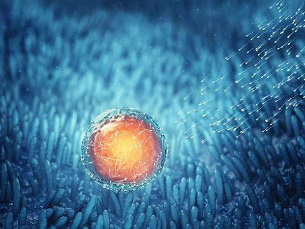 解读人工授精与婴儿试管的区别，哪个好不能单看成功率