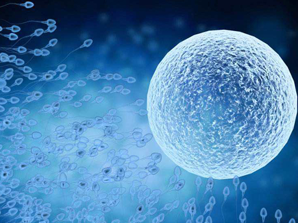 不确定做人授好还是直接试管好？先看懂两者具体区别