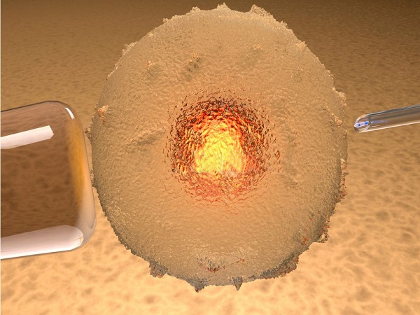 试管养囊失败的三大原因汇总：精卵质量不佳是关键因素