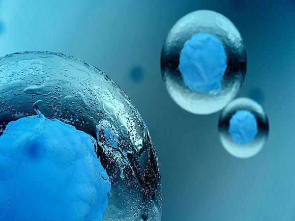 移植鲜胚3天有这三大征兆就说明着床了，腰酸的感觉很明显