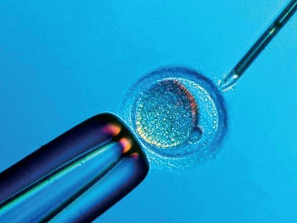 2022国内借卵做试管的费用清单来啦，看完就知道大概多少钱了