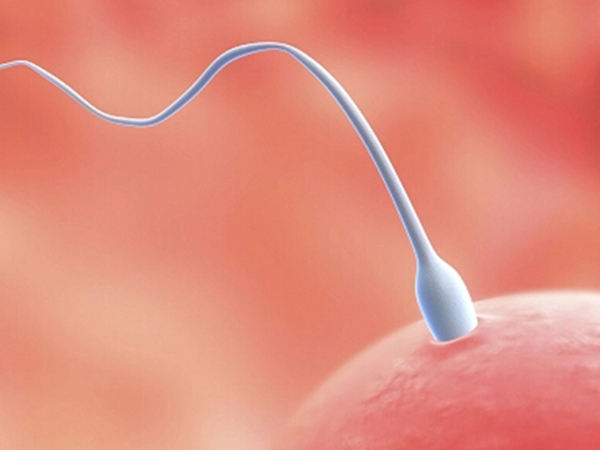 2022人工授精全部过程分享，需不需要住院因人而异