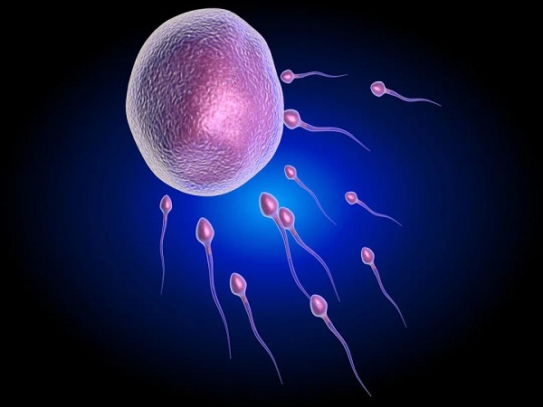 解析试管出现精卵不结合的4大原因，男性精子活力低成关键
