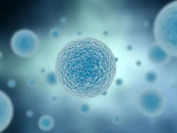 别等丧失生育能力才冷冻胚胎，遇到这几种情况时真不能耽误