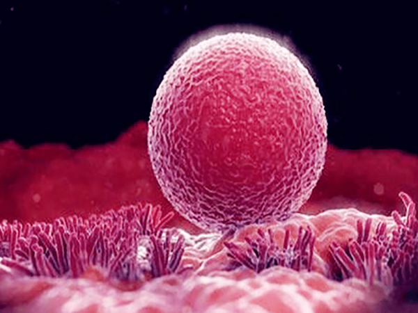 同房后出现发烫、腰痛的症状，可能就是着床成功的第一感觉