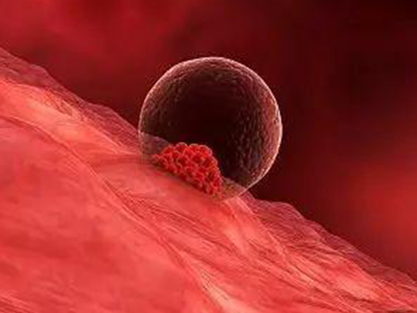 试管婴儿移植1个还是2个成功率好，关键还得看女性身体情况