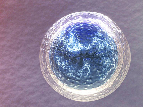 引起窦卵泡数量少的原因分析，卵巢功能不好是或成最大因素