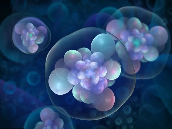 第三天胚胎质量等级一览：细胞大小、碎片率为划分依据