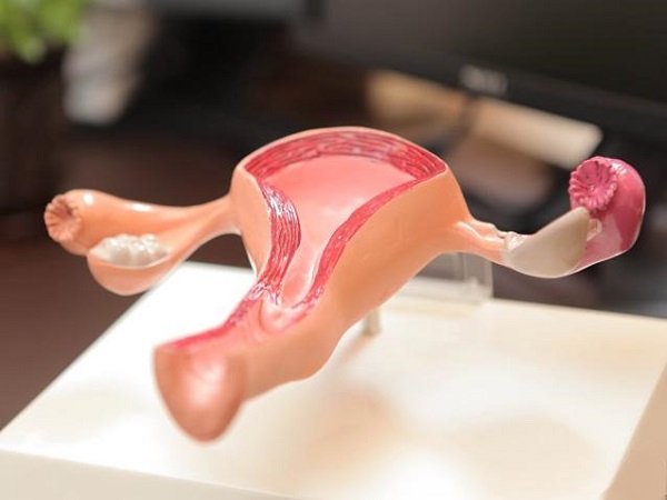 解读子宫内膜ABC代表的含义，不同分型的移植成功率有差异