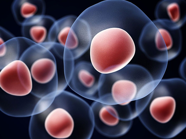 女性多吃这几种东西最容易长卵泡，豆类食物千万别错过