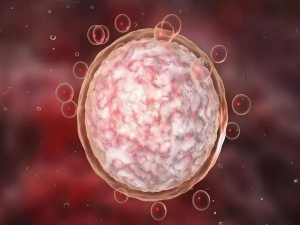 老中医提高卵子质量的12招分享，不吃中药也能养出高质量卵泡