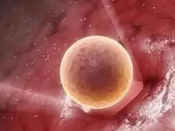 受精卵着床失败的分泌物图片分享，除了呈酸奶状外还有这些变化
