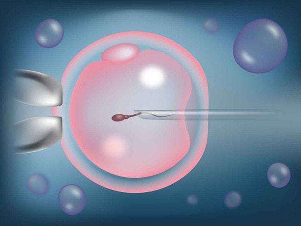 试管婴儿移植双胞胎的风险真不小，流产早产可不是玩笑话