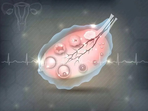 降调成功后激素三项正常值有标准，看数值是否达标就一目了然