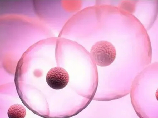 解读53岁大龄做试管婴儿成功率，大不大关键还得看这几个方面