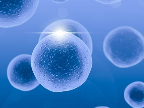 试管婴儿卵巢早衰基础卵泡少需调理，这三个方法助你由少到多