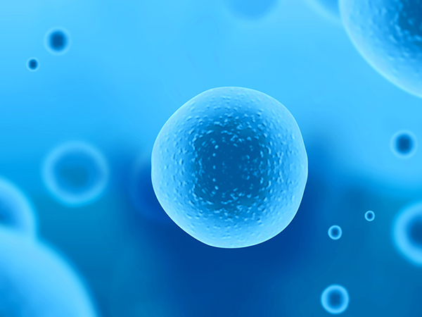 判断空卵泡其实并不难，B超检查就能检测卵泡大小和成熟度