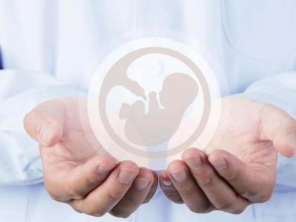 2022全国十大试管医院成功率排名：北医三院仍稳居榜首