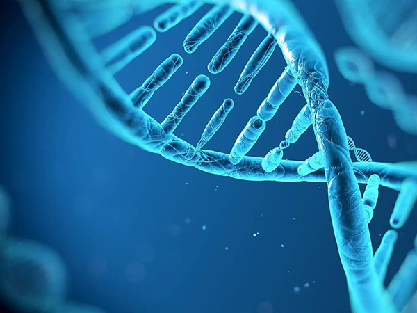 混血到第三代会有缺陷真不假，黄白混血存精神问题有依据