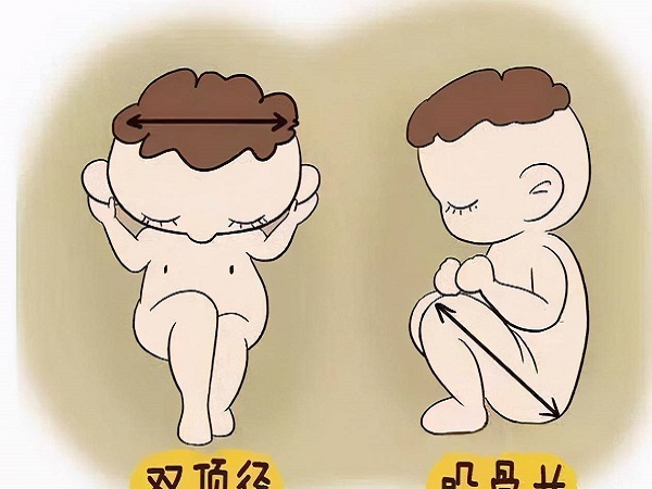 双顶径股骨长判断男女公式教学：根据差值结果看性别很准