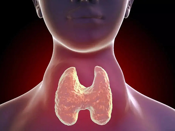 甲亢病人不能吃的食物一览表：这些寒性水果坚决不能碰