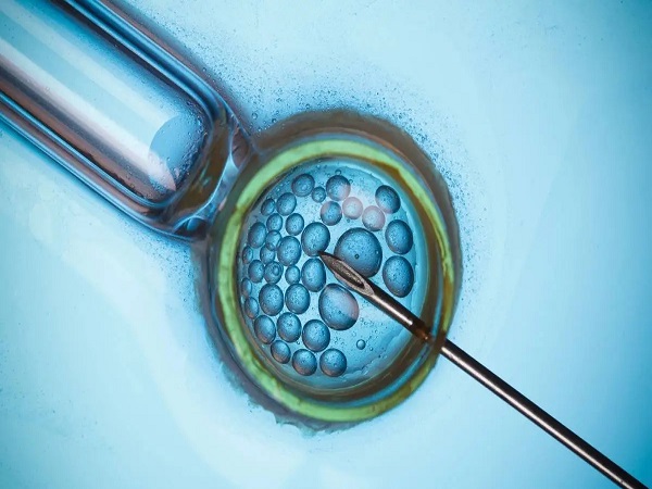 解读试管婴儿胚胎放入子宫的全过程，整个操作仅需几分钟