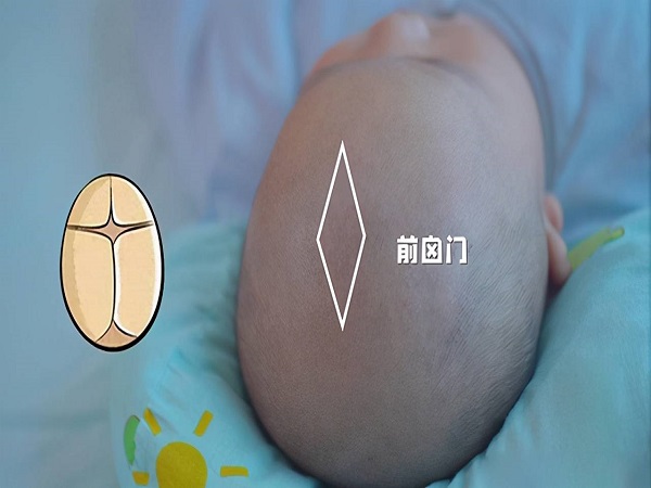 婴儿前后囟门的准确位置图分享，闭合正不正常一看便知