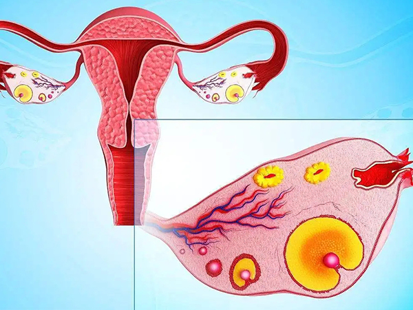 试管取卵手术属于几级疼痛你说了不算，疼痛程度因人而异