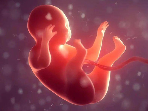 怀儿子累腿女儿累腰不可信，专家的科学解释你一定要知道