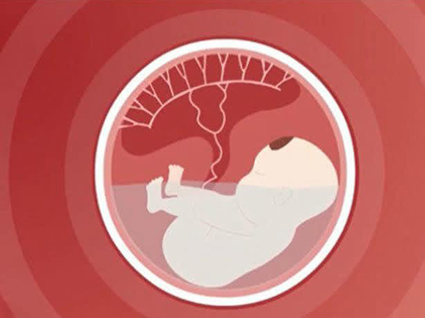解析受精卵着床的6种感觉，出现胸部疼痛症状就要恭喜了
