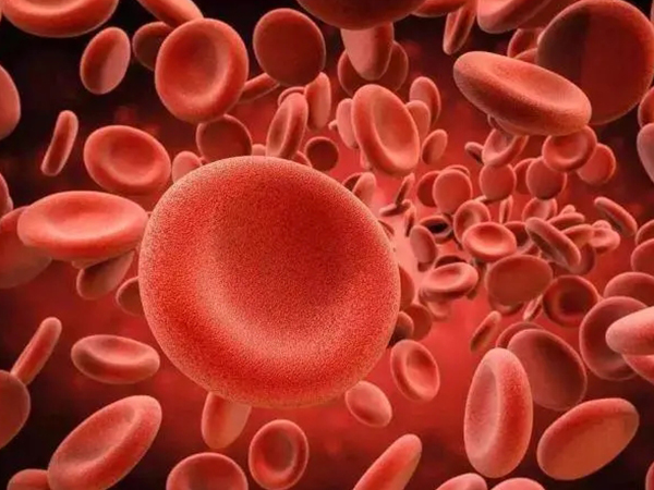 血常规五项看地贫其实并不难，看MCV和MCH两项才是关键