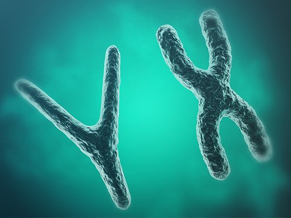 x和y精子的存活时间表分享，抓住最佳受孕时期方可一击即中