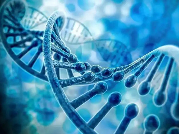 小孩遗传身高最准计算方法来了，男孩女孩算法公式有差异