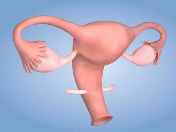 女性卵泡数量偏多不是好事，危害可不仅仅是影响女性生育