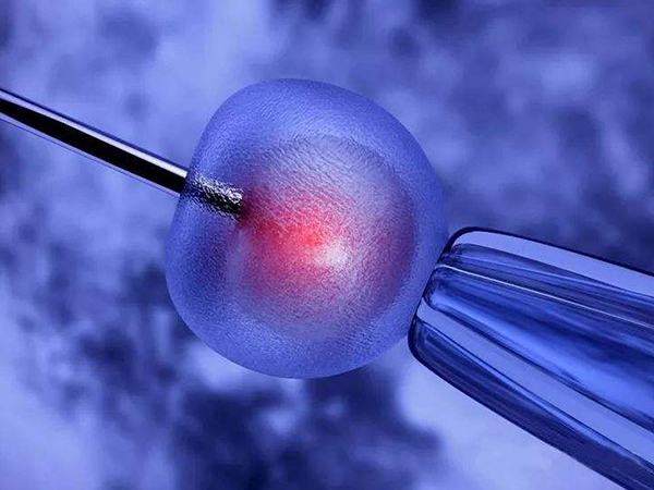 试管移植6细胞鲜胚的成功率高不高，弄清胚胎质量就知道