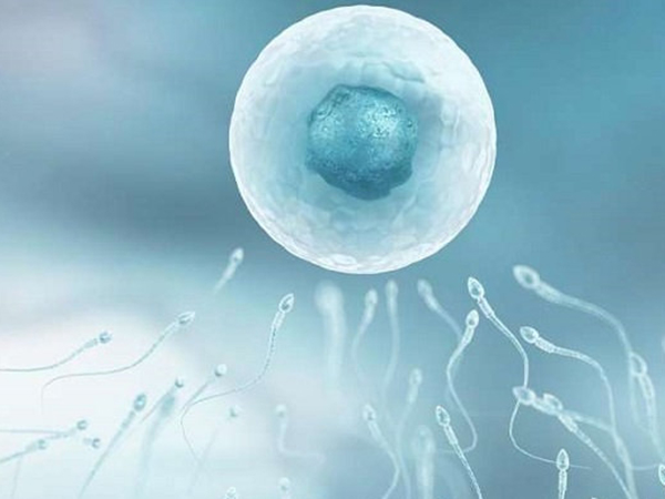 广州供卵被骗真实经历分享：这些常见套路你一定要知道！