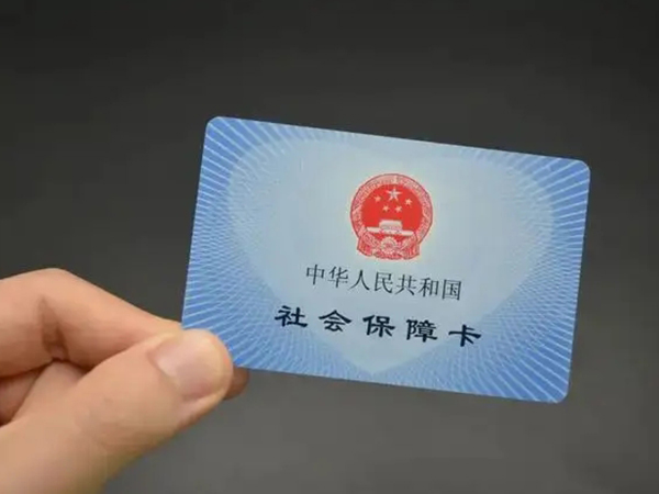 网上查生育津贴进度的操作指南：四个步骤便知是否已发放