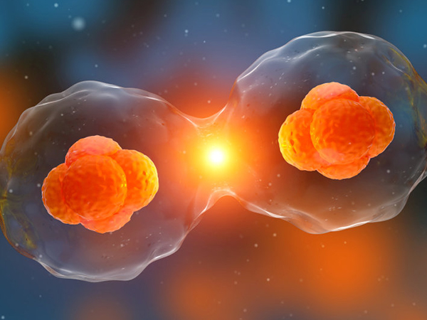 别再问龙凤胎到底是福报还是孽报，一文详解其寓意和传说