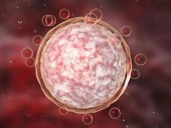 中医调理女性卵泡不破秘方分享，这些中药偏方千万别错过！