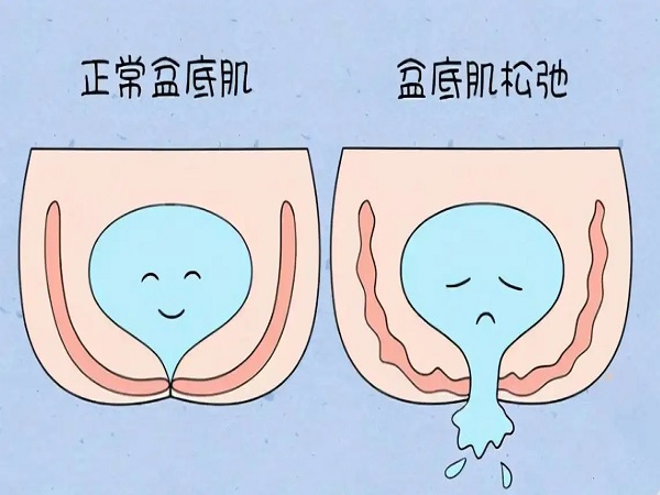 产后恢复8个项目价格明细表来了，全套仅需几千元真不贵