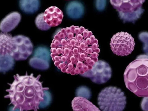 hpv初期小红点照片分享，不论男女手背上长丘疹就要注意了