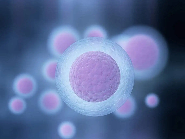 刚怀孕的排卵试纸图片分享，测出结果一深一浅就要恭喜了