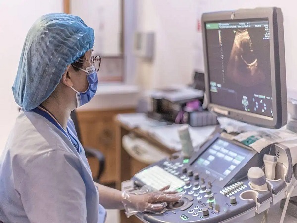 四维脊柱看男女最准的方法：通过位置判断胎儿性别真不难