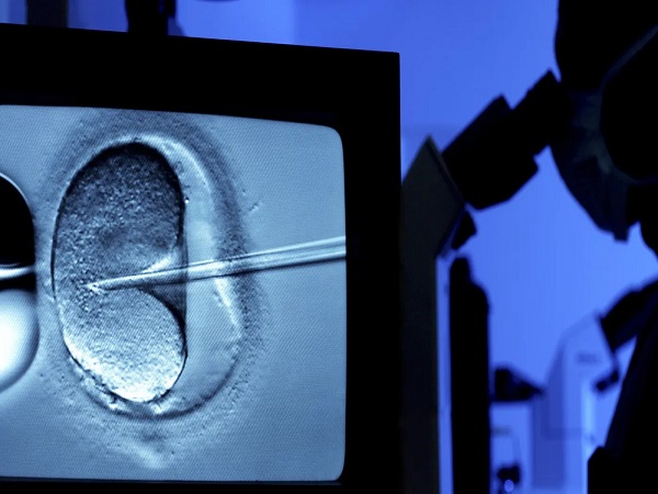 探究试管婴儿生男孩不可说的3个小秘密，现在知道还不晚！